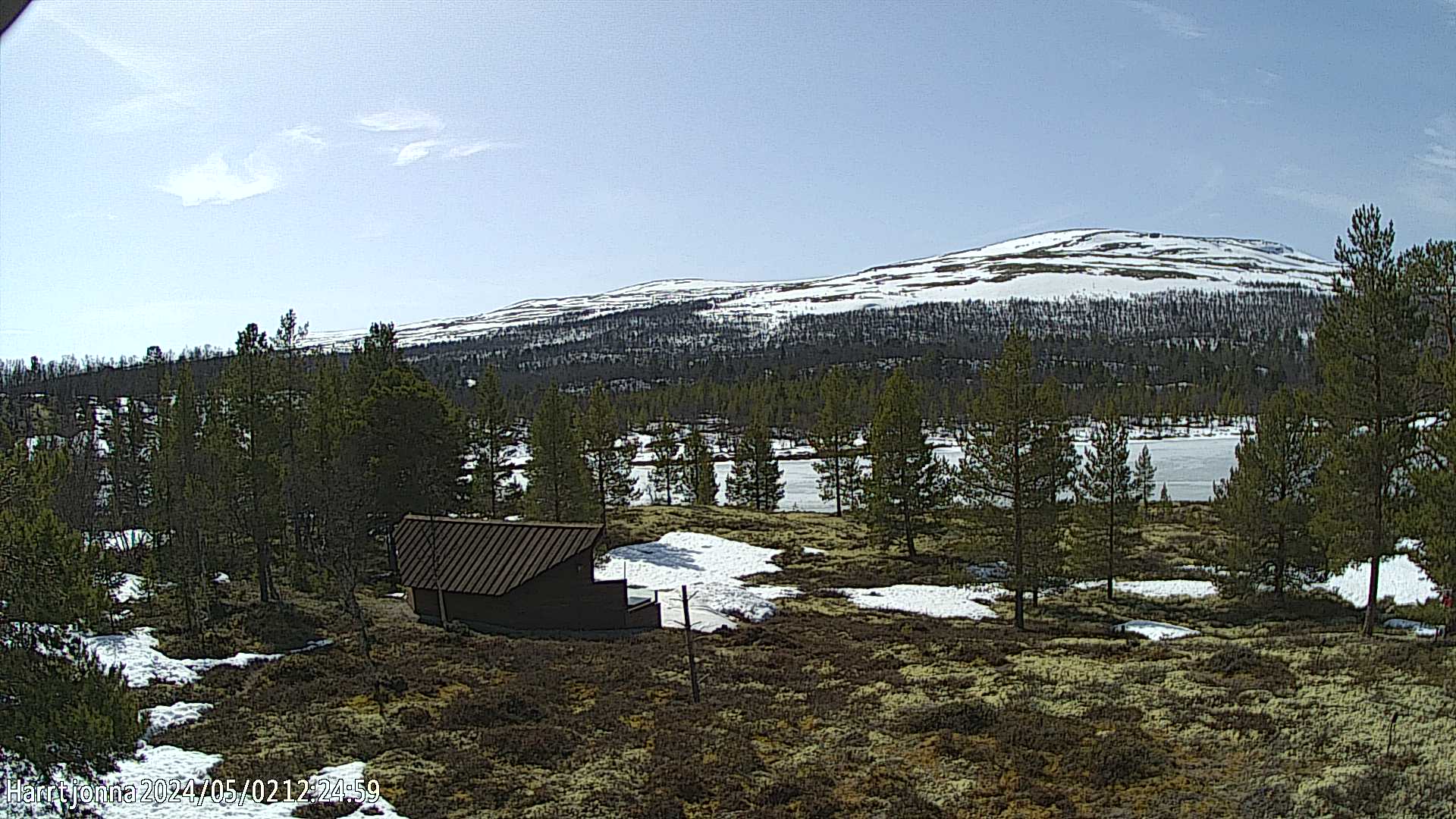 Webcam Harrtjønna, Tolga, Hedmark, Norwegen
