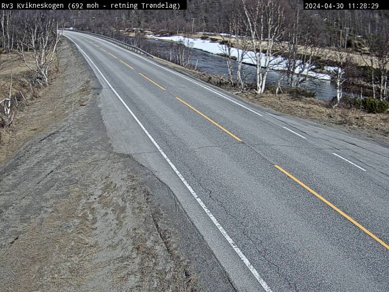 Webcam Kvikneskogen, Tynset, Hedmark, Norwegen