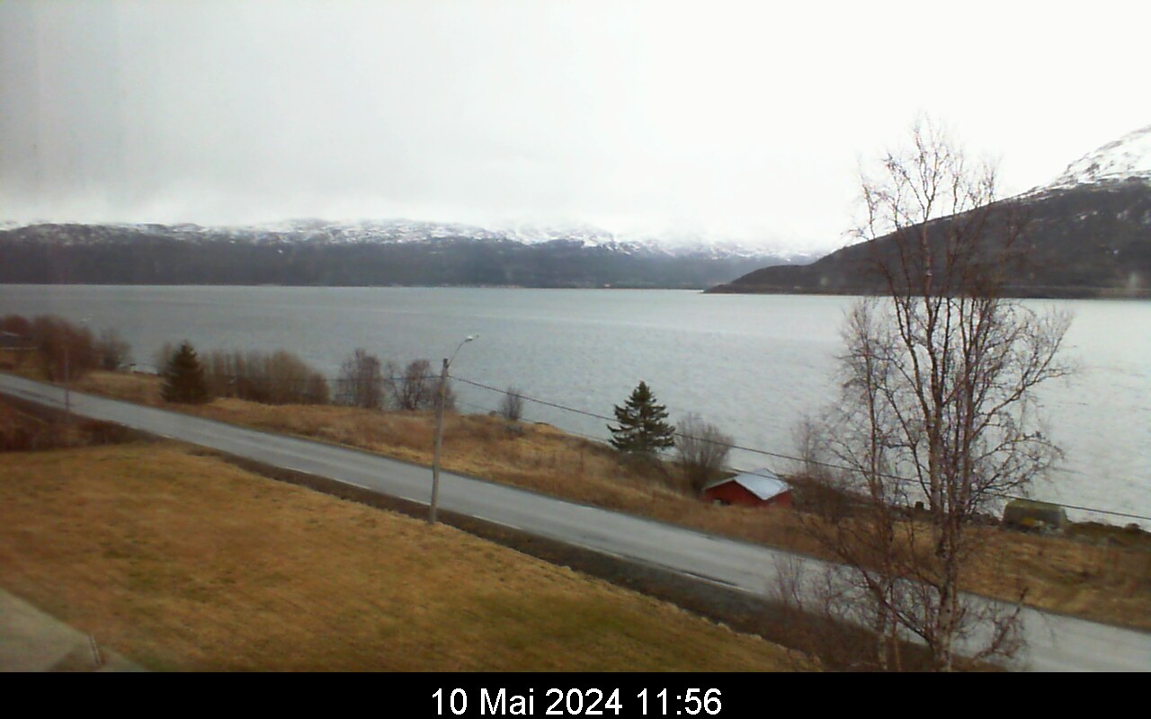 Webcam Rasteby, Storfjord, Troms, Norwegen