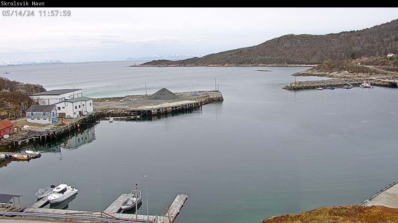 Webcam Skrolsvik, Tranøy, Troms, Norwegen