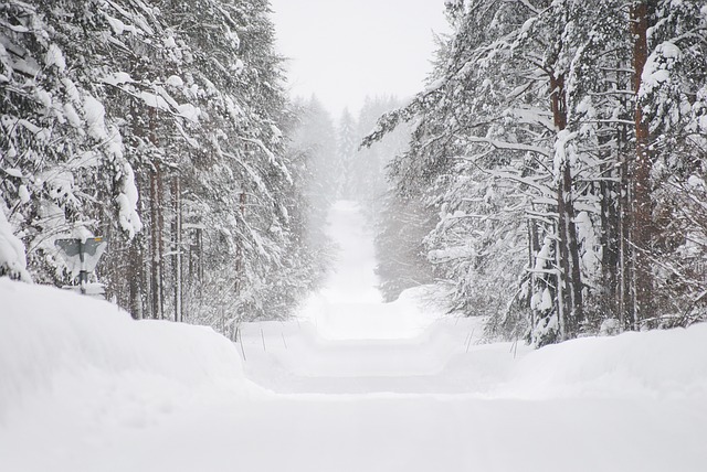 Schwedische Straße im Winter